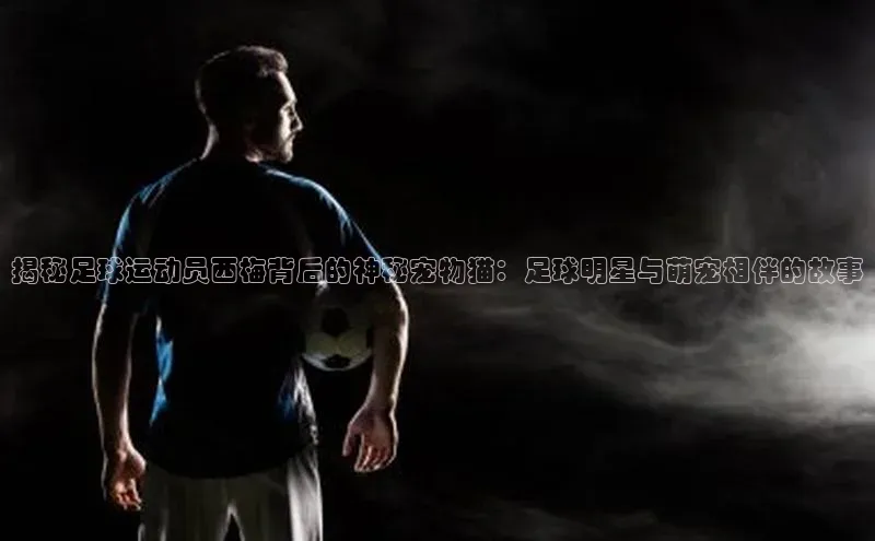 长征娱乐注册登录百度Apollo揭秘足球运动员西梅背后的神秘宠物猫：足球明星与萌宠相伴的故事