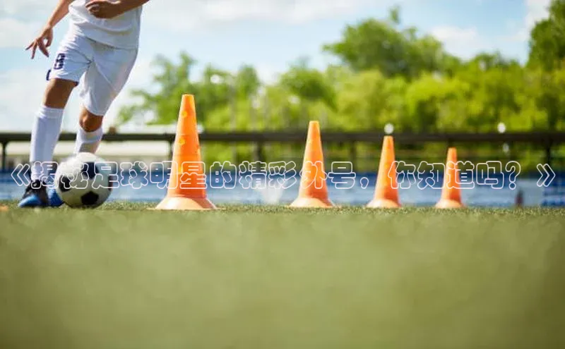 长征娱乐登录入口网页版观星盘《揭秘足球明星的精彩外号，你知道吗？》