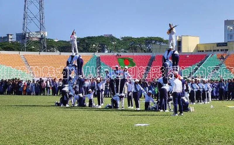 排球的魅力：从规则到精彩瞬间的深度