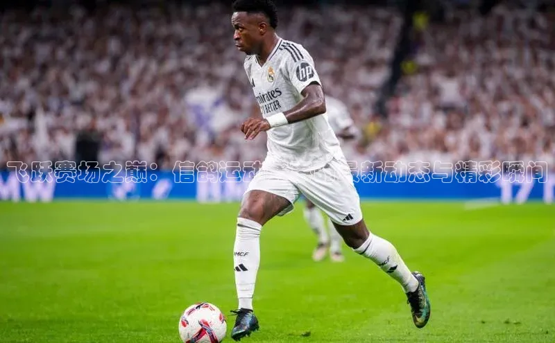 飞跃赛场之巅：信鸽运动赛事的最新动态与精彩瞬间