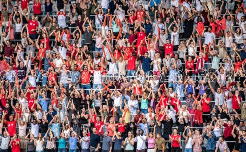 荣耀之路：专业体育赛事中的运动员成才之路