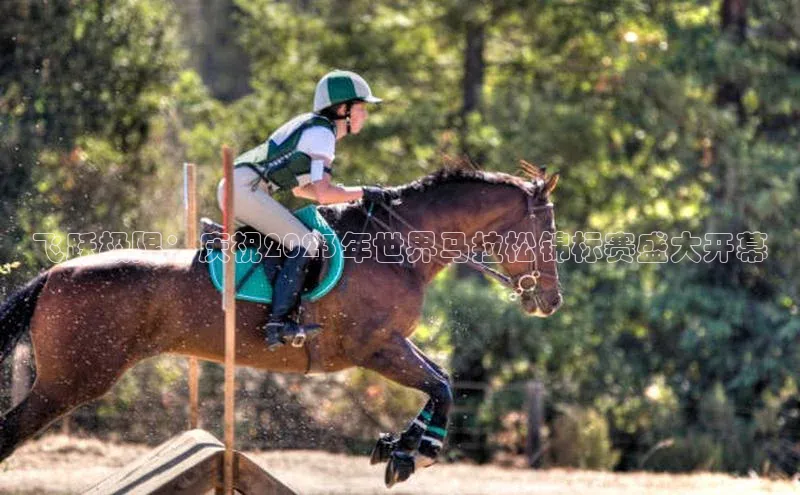 飞跃极限：庆祝2023年世界马拉松锦标赛盛大开幕