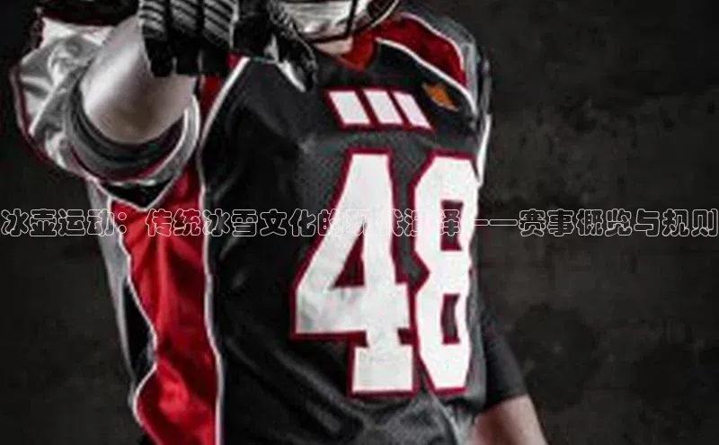 冰壶运动：传统冰雪文化的现代演绎——赛事概览与规则