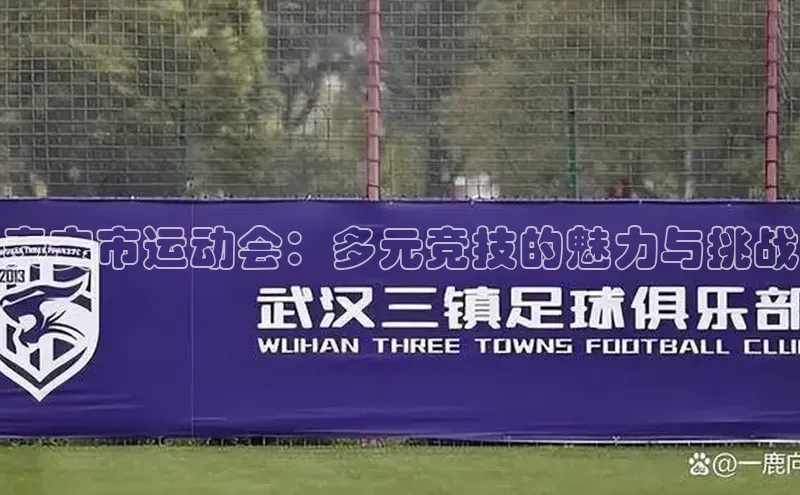 泰安市运动会：多元竞技的魅力与挑战