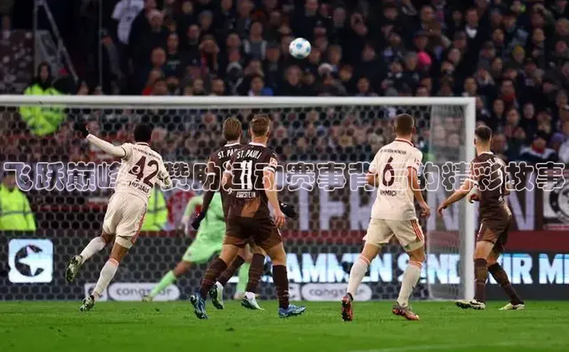 飞跃巅峰：赞助运动赛事背后的精彩故事