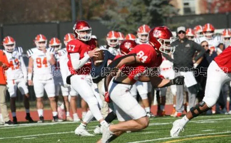 中国搏击界巅峰对决：搏击类运动赛事的魅力与挑战